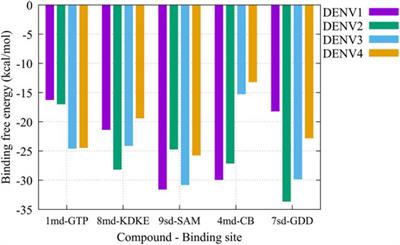 Virtual Screening of Drug-Like Compounds as Potential Inhibitors of the Dengue Virus NS5 Protein